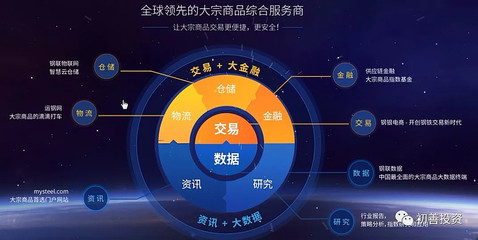 讀年報系列二（2） 上海鋼聯——數據服務的獨角獸之路